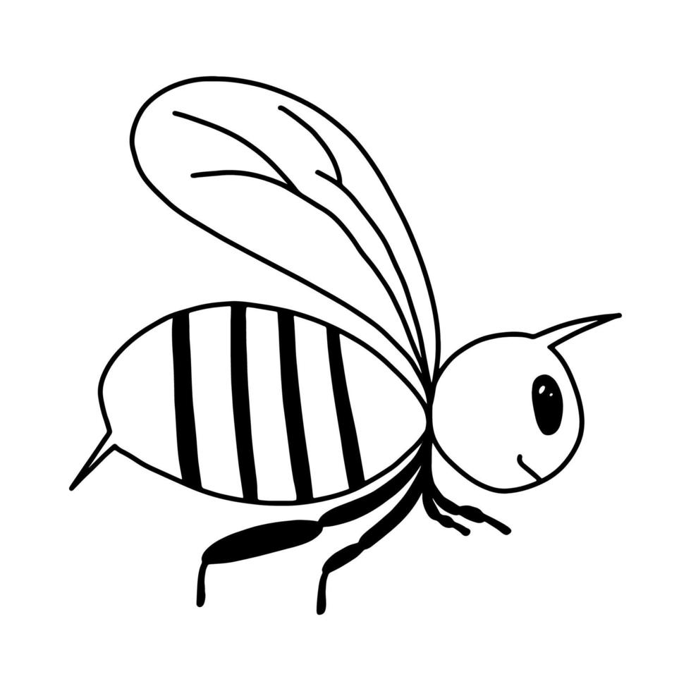 A single bee in the style of Doodle.Black - and-white image of an insect.Contour drawing of a cute bee.Children's drawing.Vector image vector