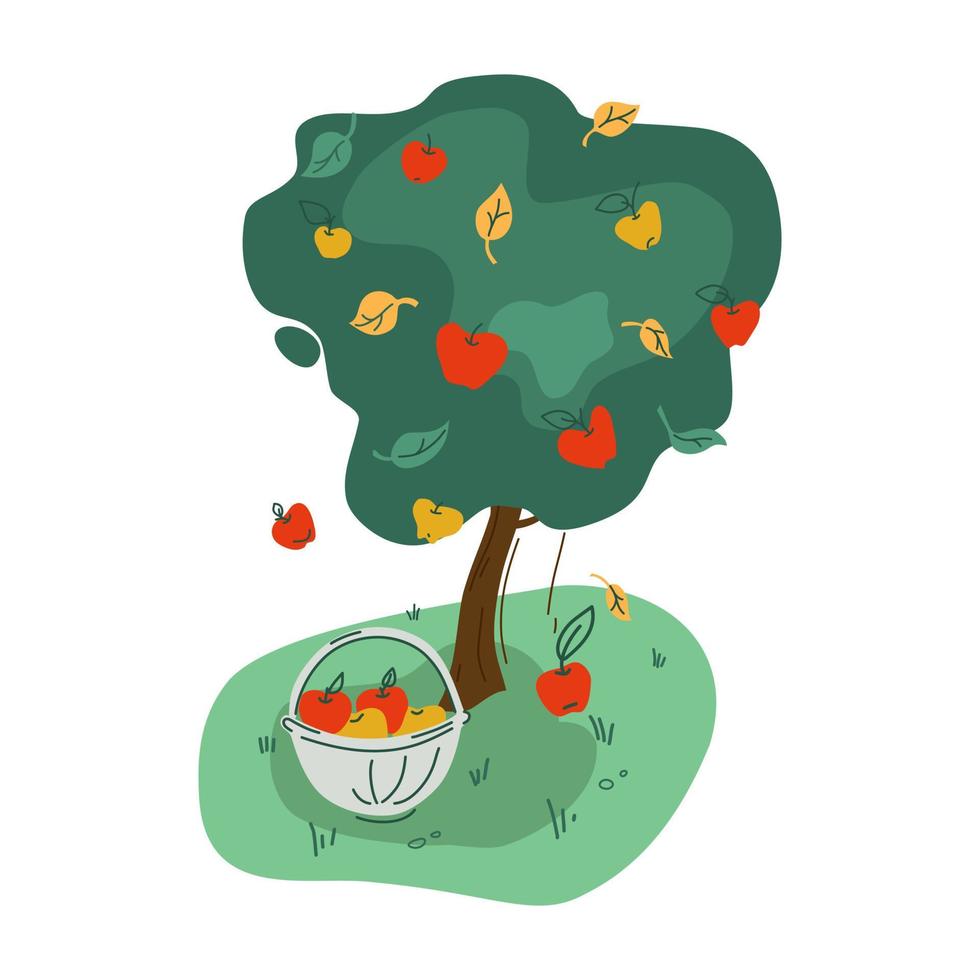 Harvest. An Apple tree and a basket of apples. Vector. vector