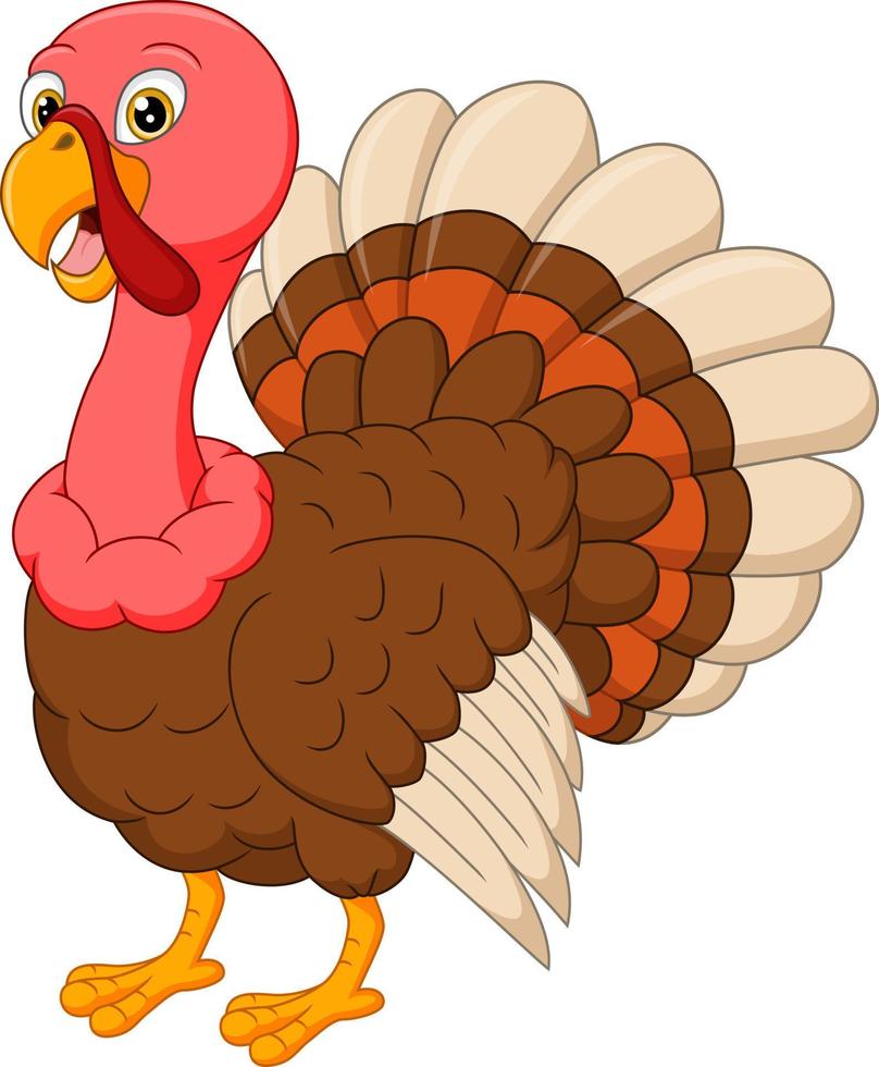 Cartoon happy turkey on white background vector