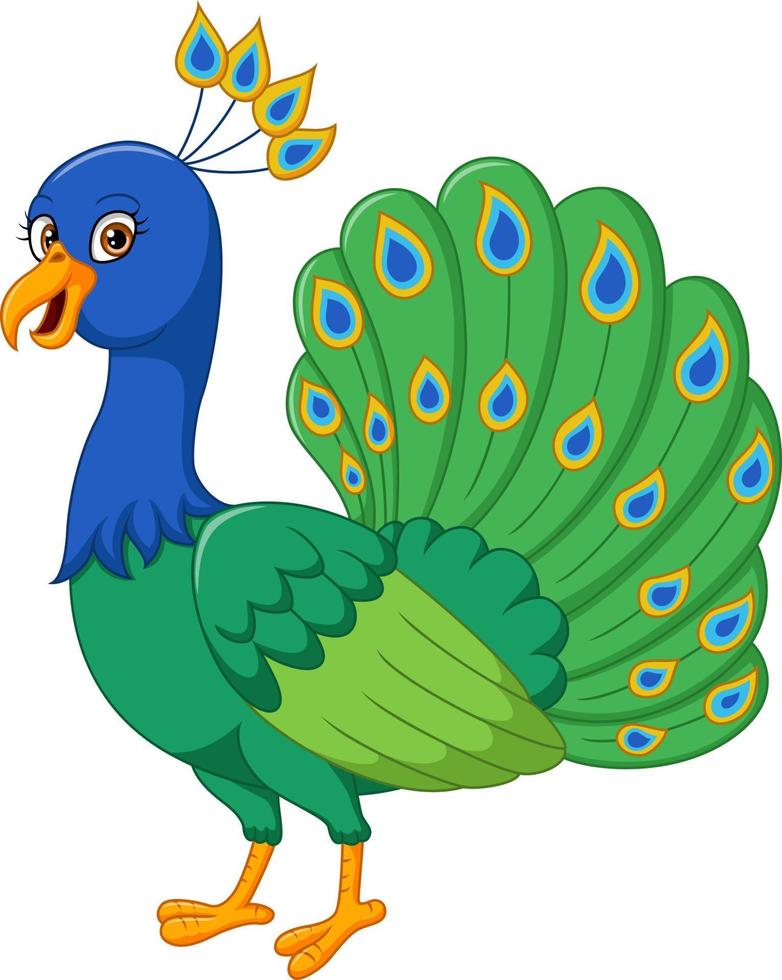 Cartoon happy peacock on white background vector