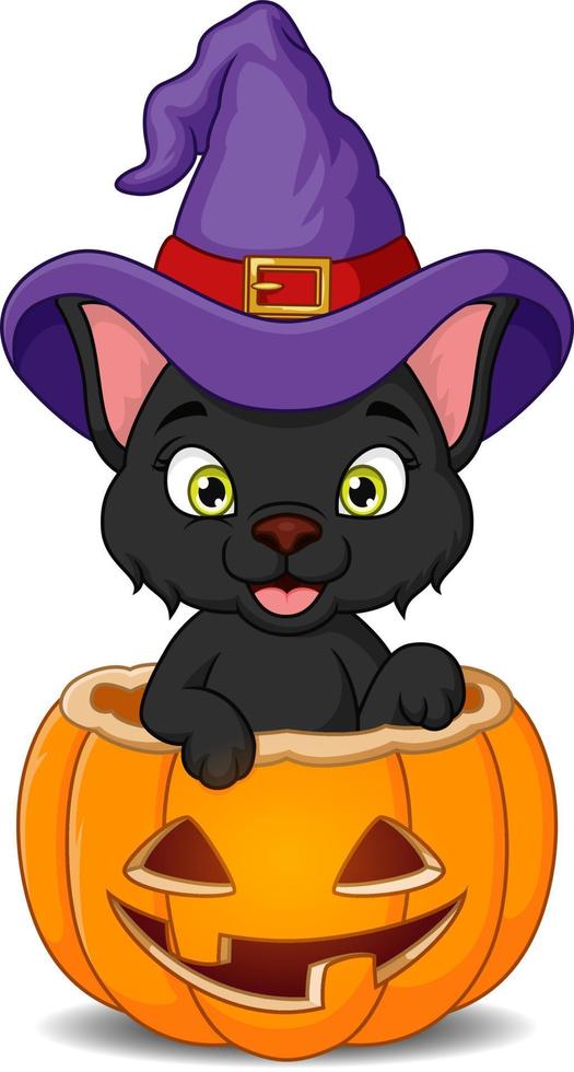 Cartoon black cat in a witch hat inside in halloween pumpkin vector