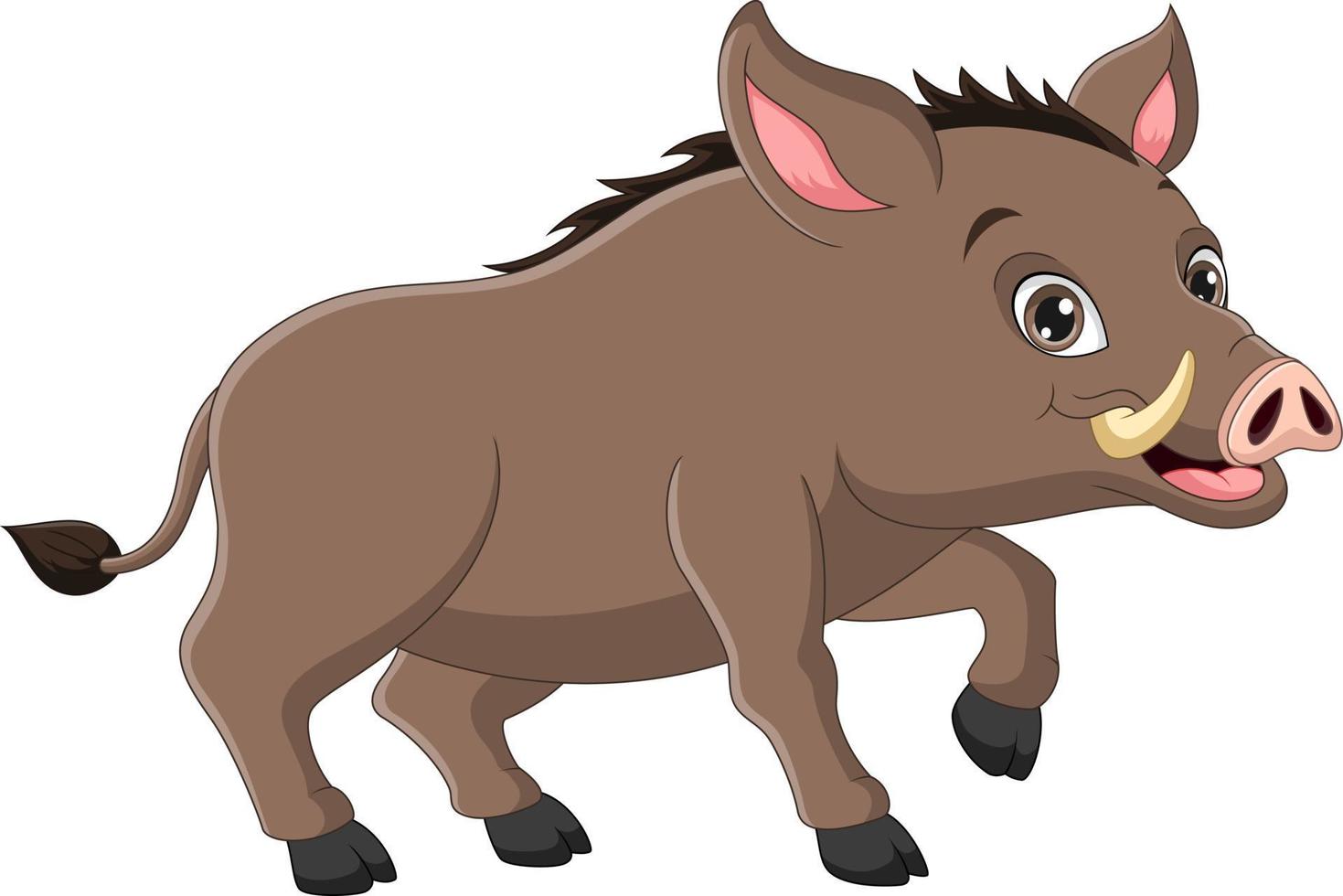 Wild boar cartoon on white background vector