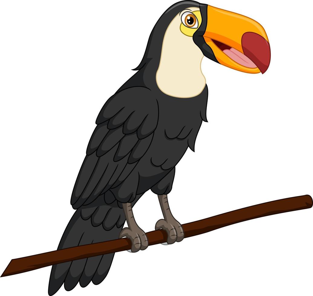 Cute toucan bird on a tree branch vector
