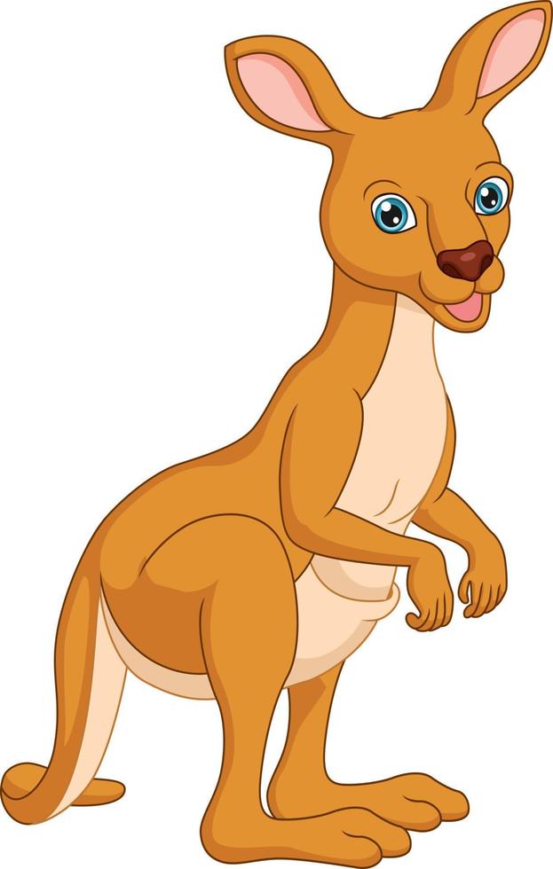 Cute kangaroo cartoon isolated on white background vector