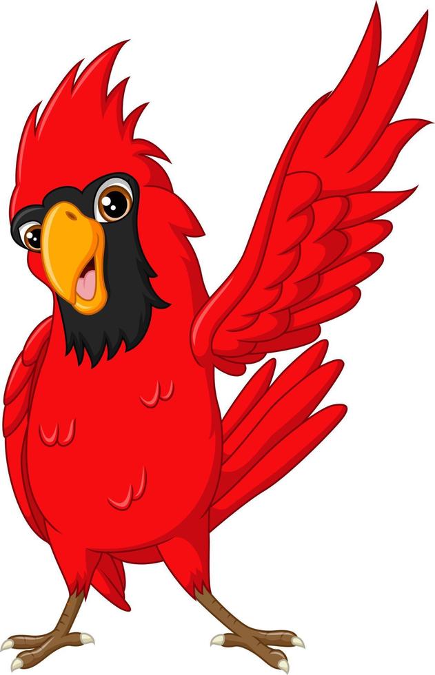 pájaro cardenal feliz de dibujos animados sobre fondo blanco 5112490 Vector  en Vecteezy