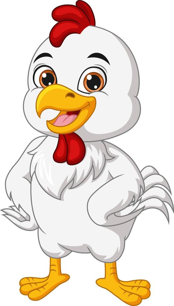 pollo feliz de dibujos animados sobre fondo blanco vector