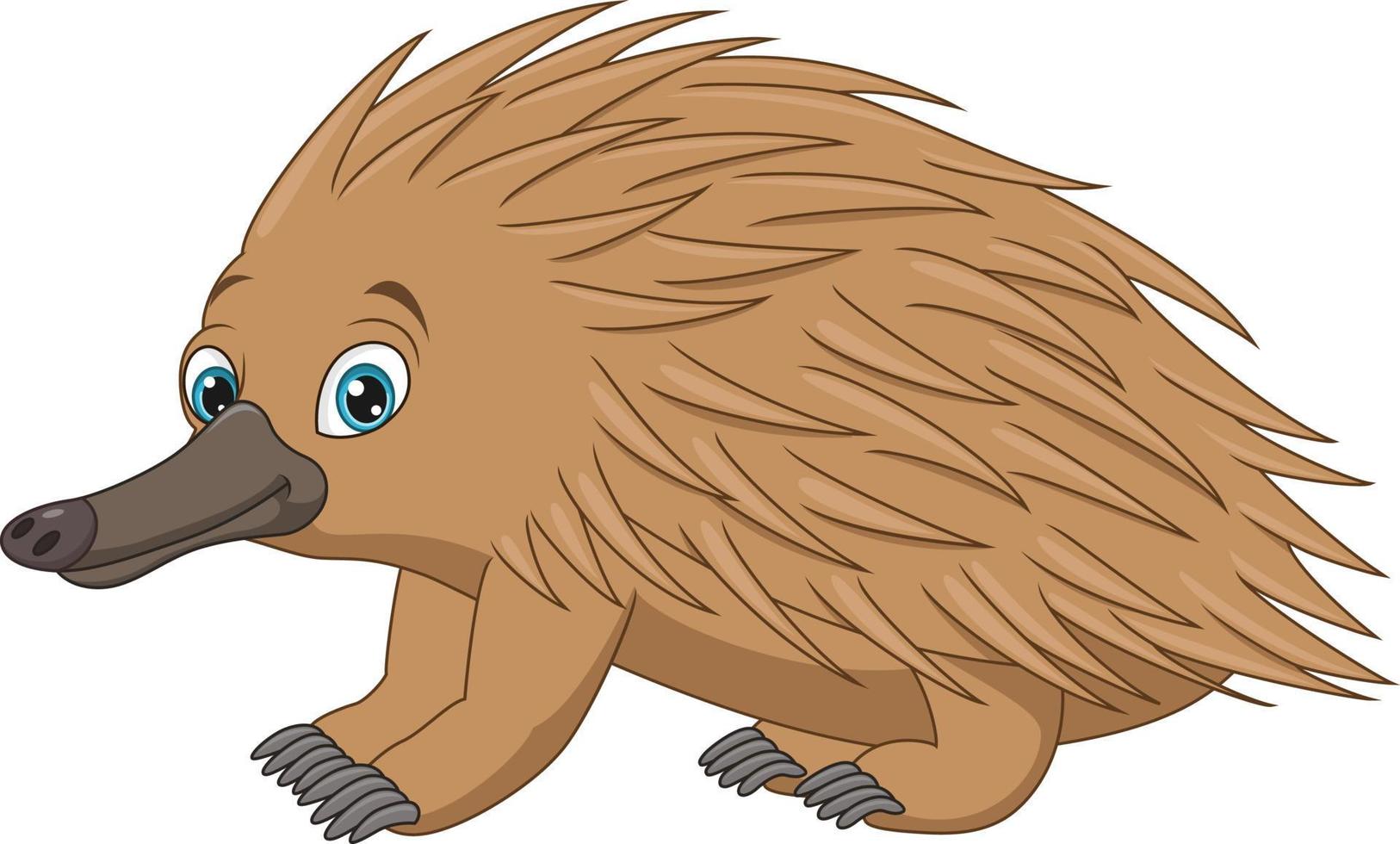 Cartoon echidna isolated on white background vector