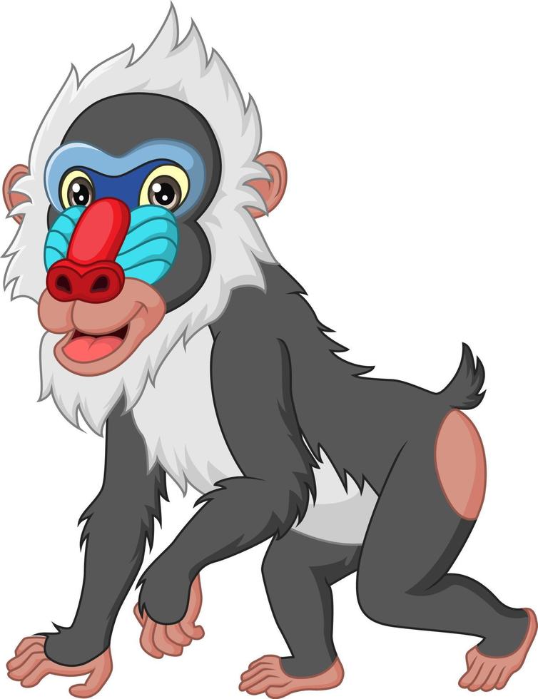 Cute mandrill baboon cartoon isolated on white background vector