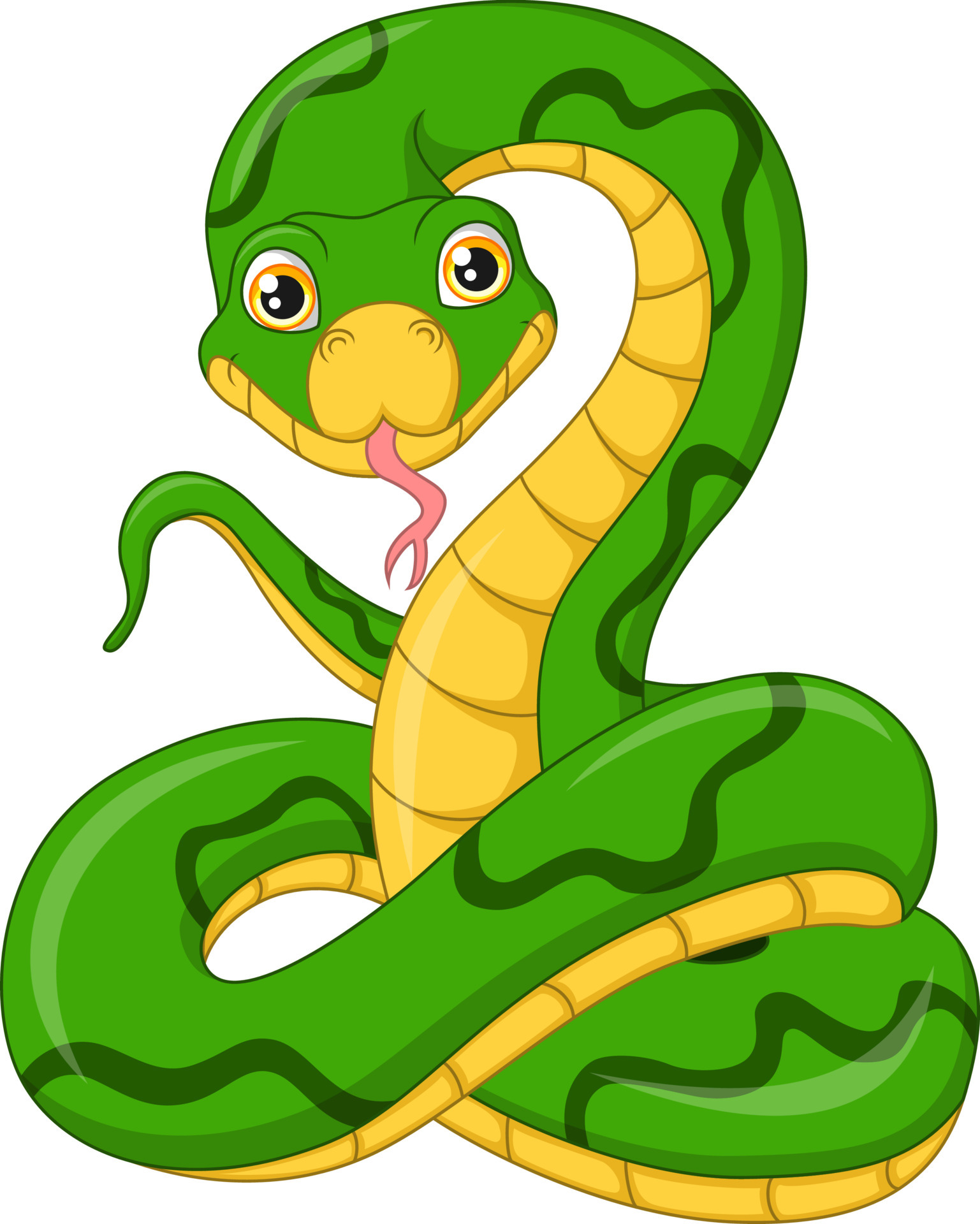 Cute green snake cartoon on white background 5112594 Vector Art at Vecteezy Cute green snake cartoon on white background 5112594 Vector Art at Vecteezy