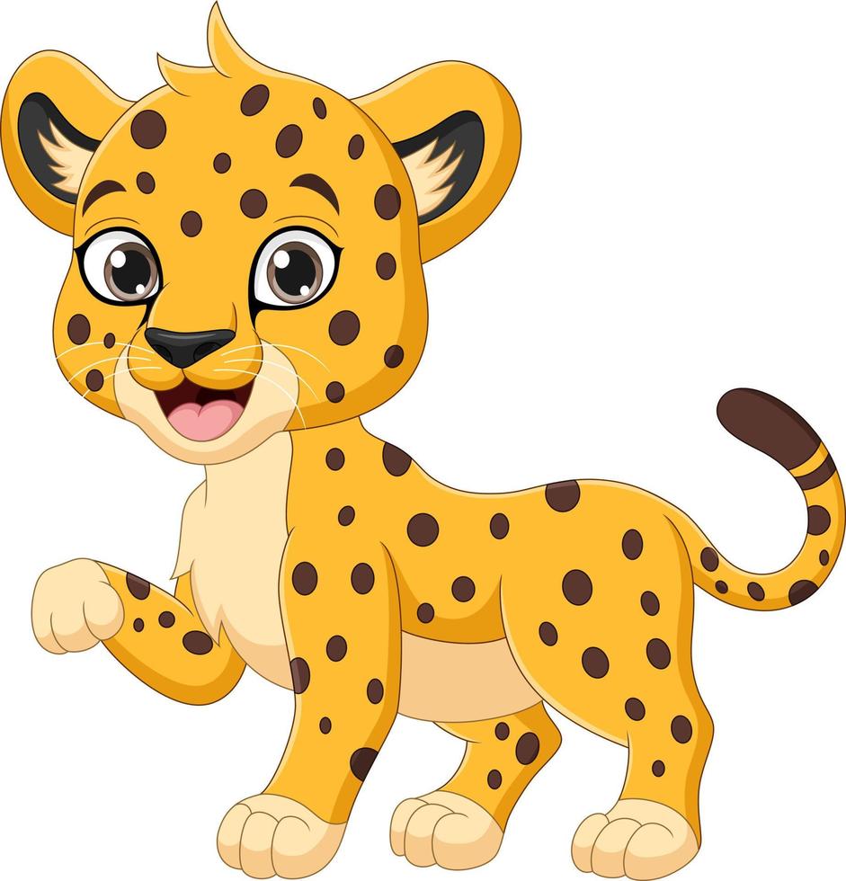 Cute baby cheetah cartoon on white background 5112719 Vector Art at Vecteezy