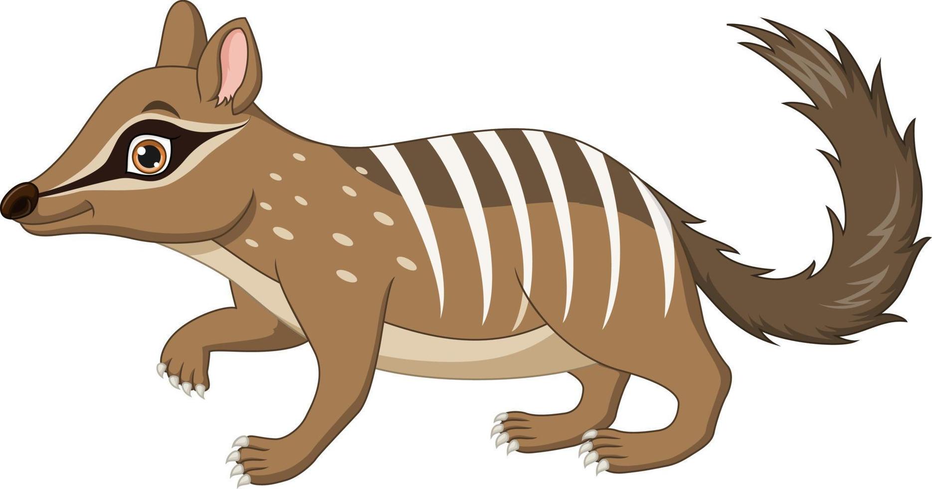 numbat divertido de dibujos animados sobre fondo blanco vector