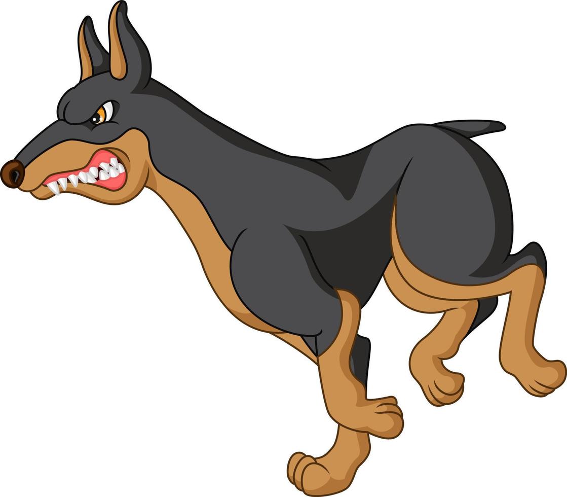 caricatura, enojado, doberman, perro, funcionamiento vector