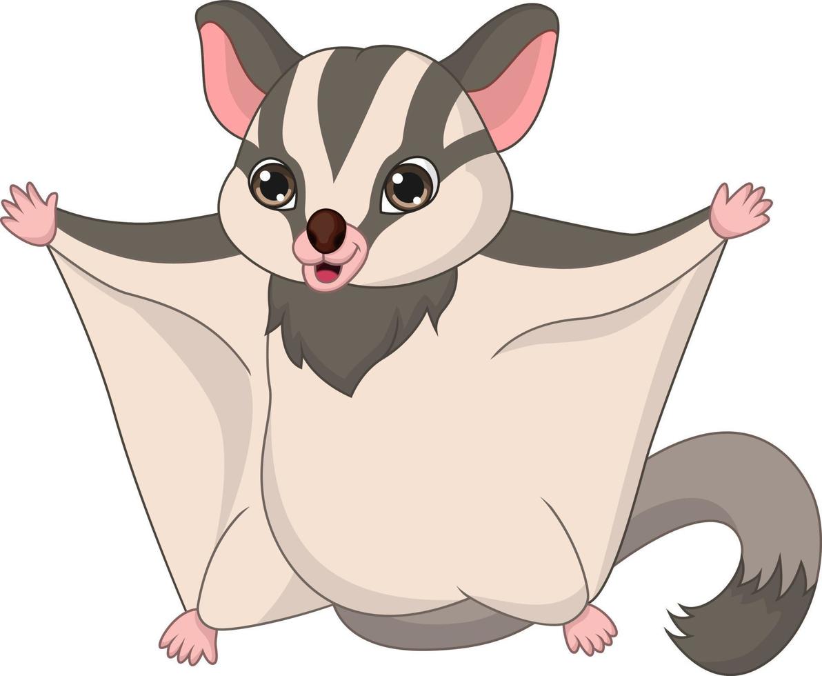 Cartoon sugar glider on white background vector