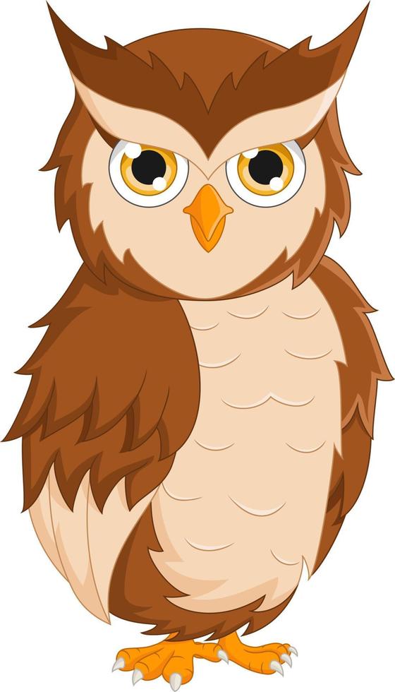 Cartoon cute owl isolated on white background vector