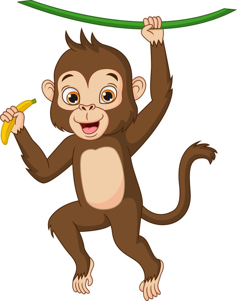 Cute baby monkey hanging on tree branch. Monkey Holding Banana vector