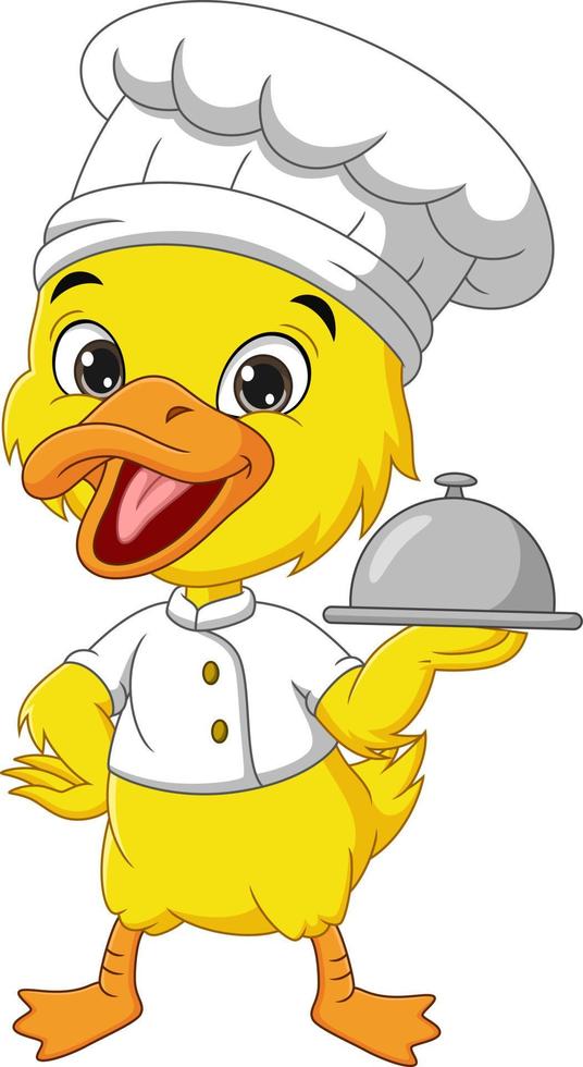 Paper Duck / Chef Template 