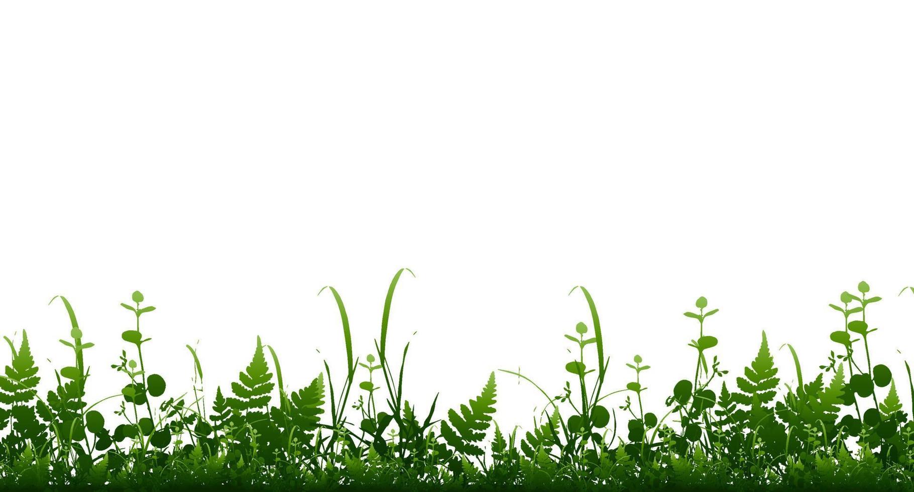 vector verde brillante realista sin costura borde de hierba aislado fondo. ilustración vectorial