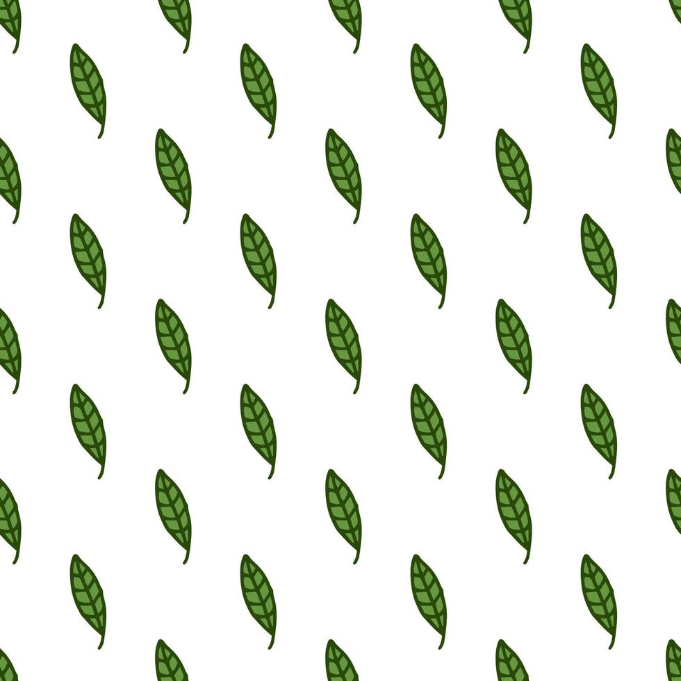 Seamless pattern. Doodle style hand drawn. Nature elements. Vector illustration. Green leaves on a white background.
