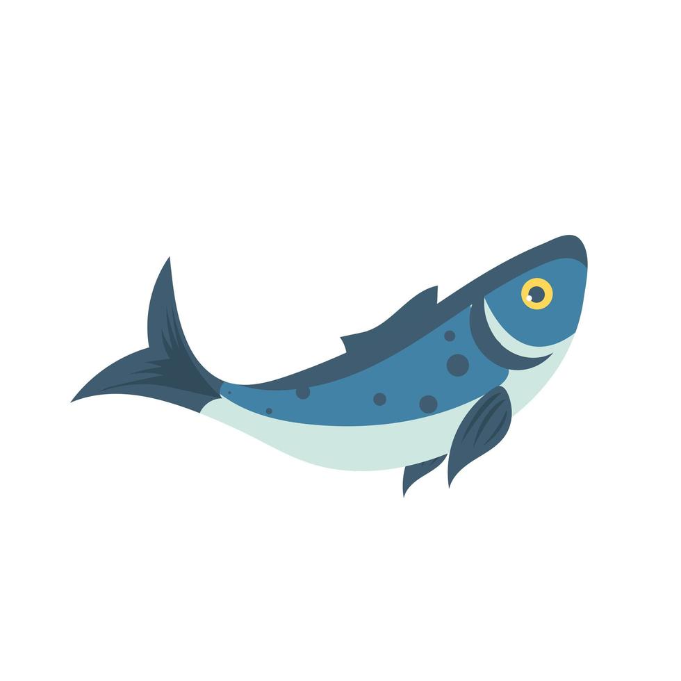 Vector illustration of a fish. Fish isolated on a white background.
