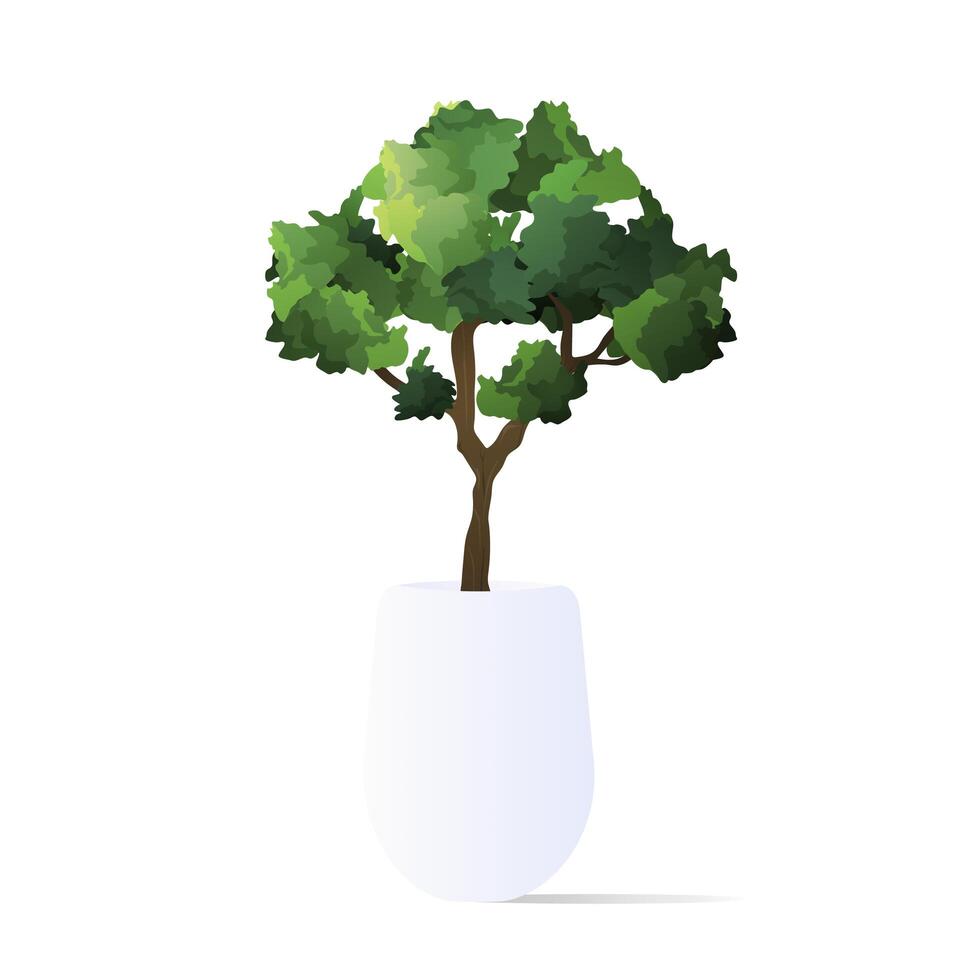 A small tree in a pot. Houseplant isolated on a white background. Vector illustration