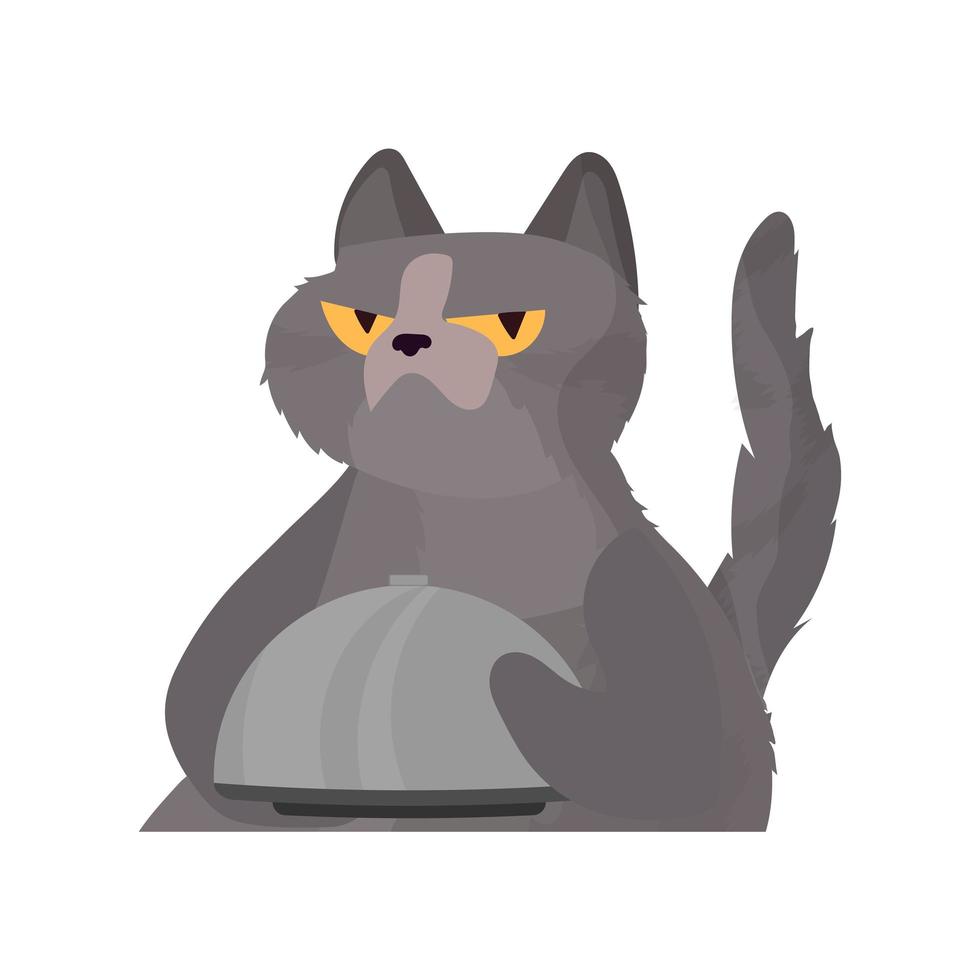 gracioso gato sostiene un plato de metal con tapa. un gato con una mirada divertida. bueno para pegatinas, tarjetas y camisetas. aislado. vector. vector