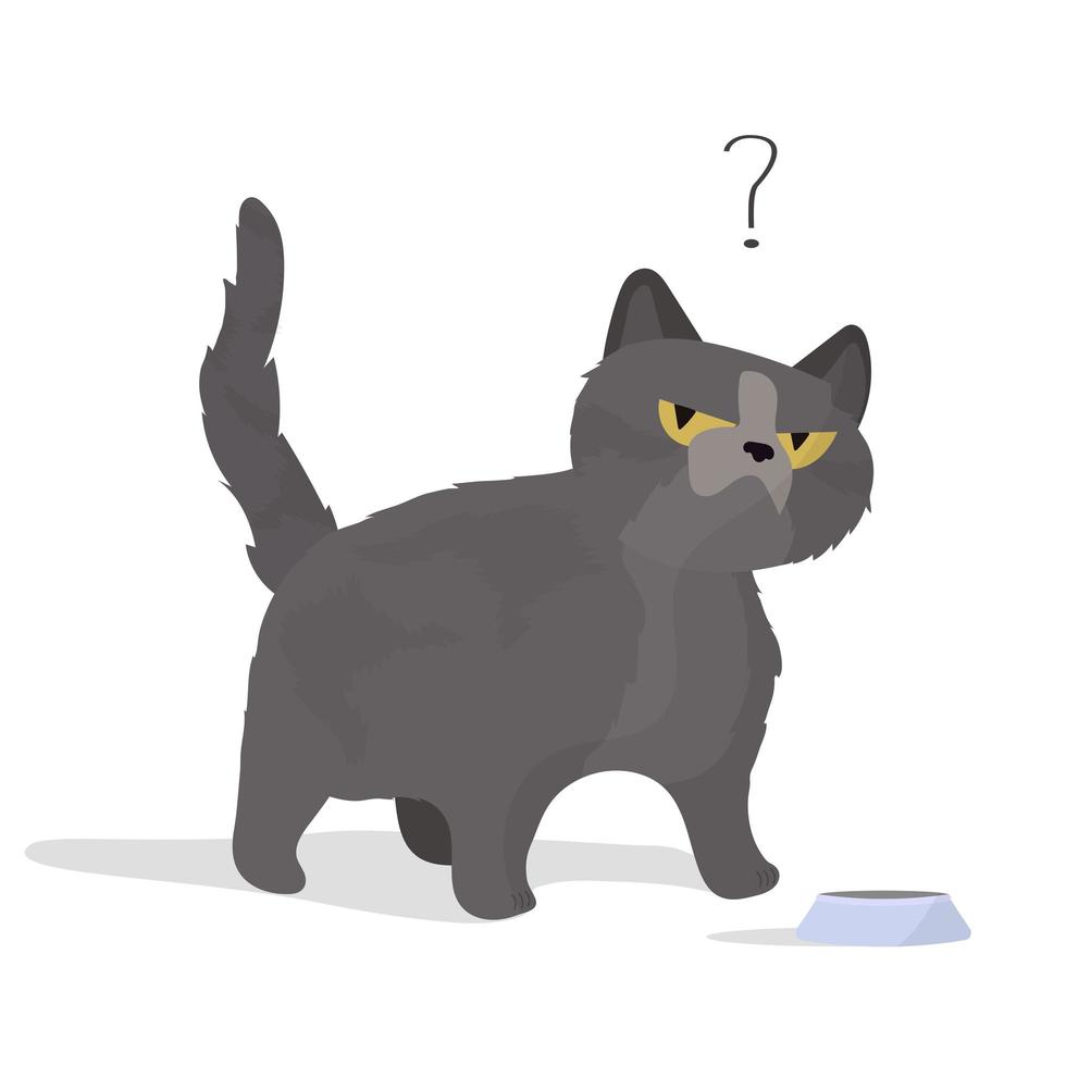 Cat near an empty toe in perplexity. The cat asks to eat. Vector illustration.