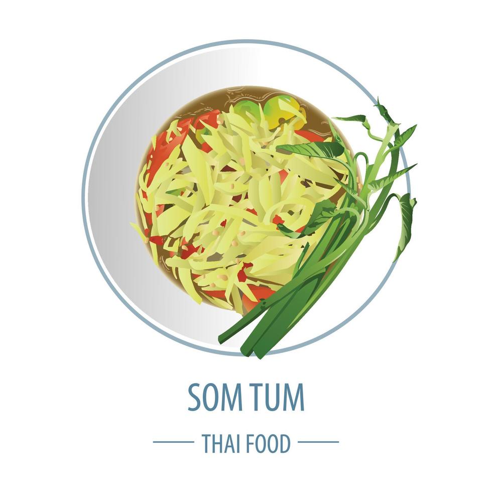 Papaya salad or Som tum famous Thai food,realistic with top view style vector