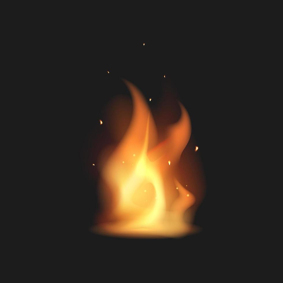 hoguera realista. fuego. ilustración vectorial vector