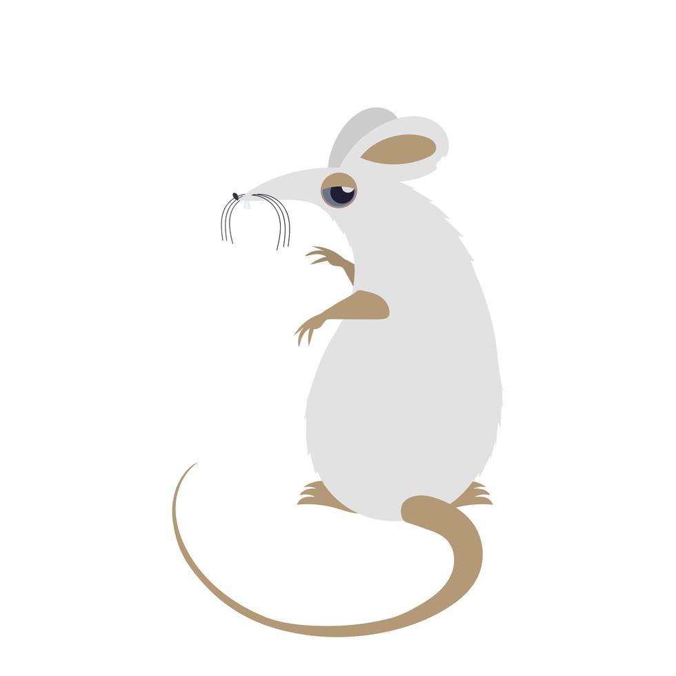 White mouse. Funny white rat isolated on a white background. Vector. vector