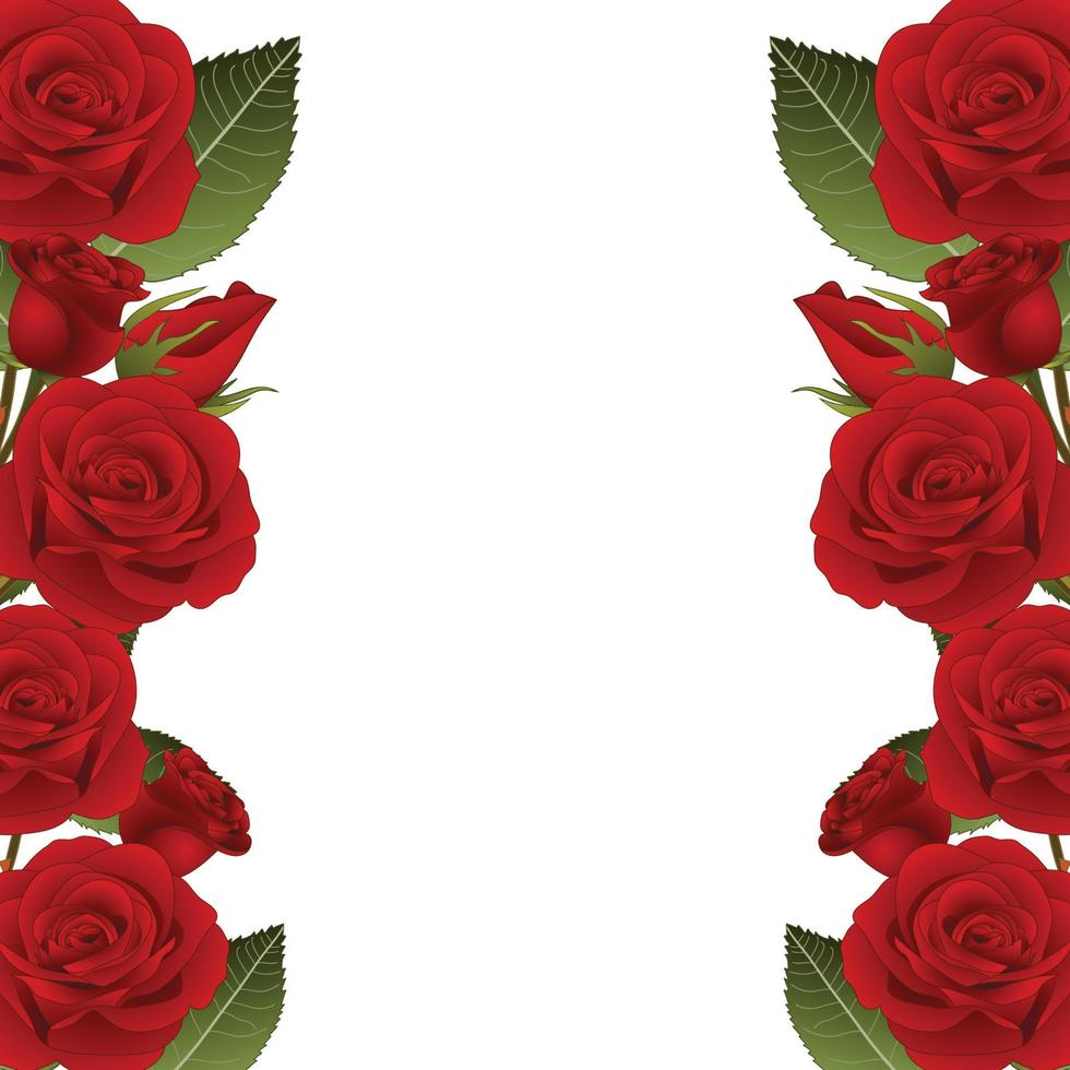 Red Rose Flower Frame Border vector