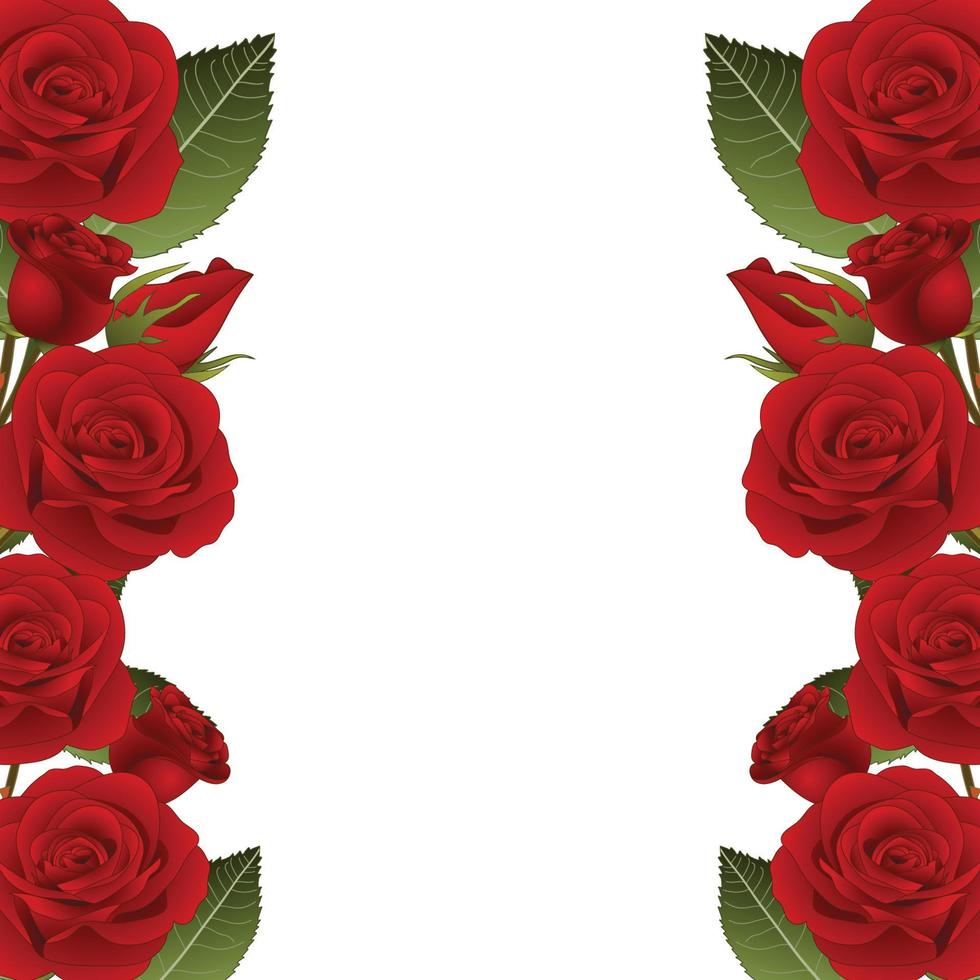 Red Rose Flower Frame Border vector