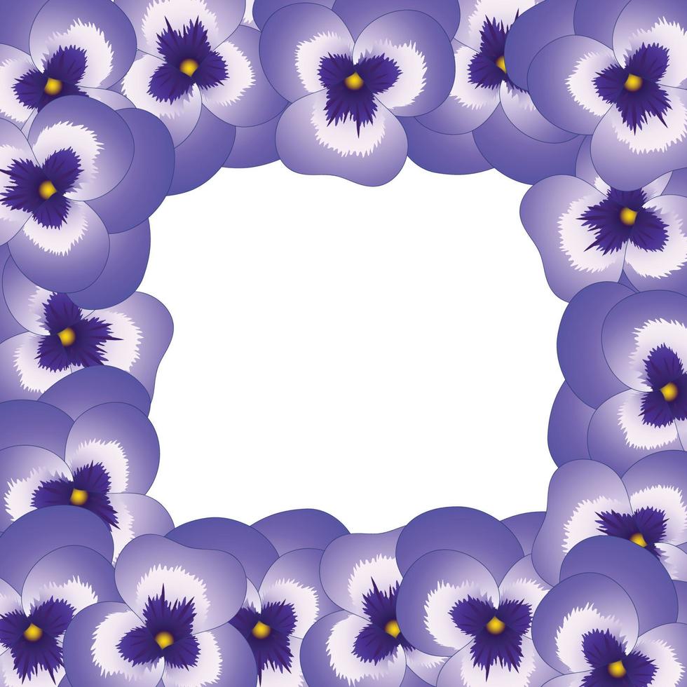 Violet Viola Garden Pansy Flower Border. vector
