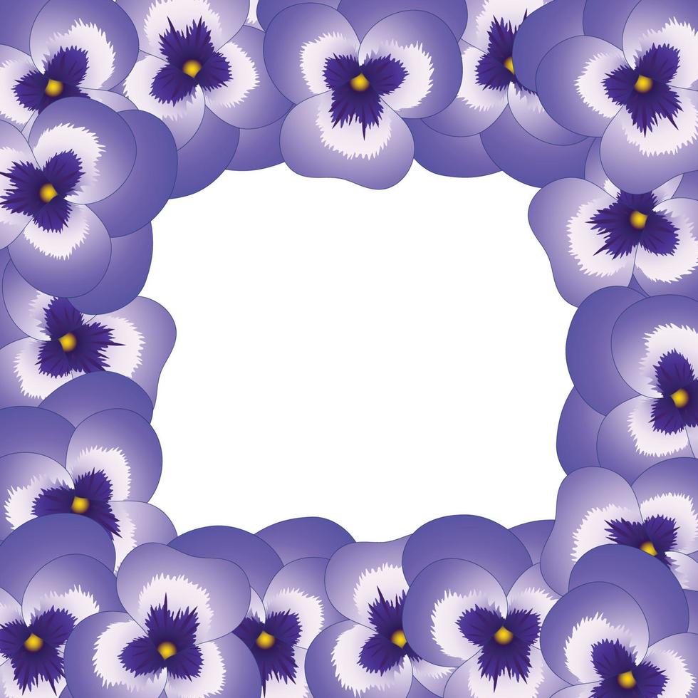 borde de flor de pensamiento de jardín de viola violeta. vector