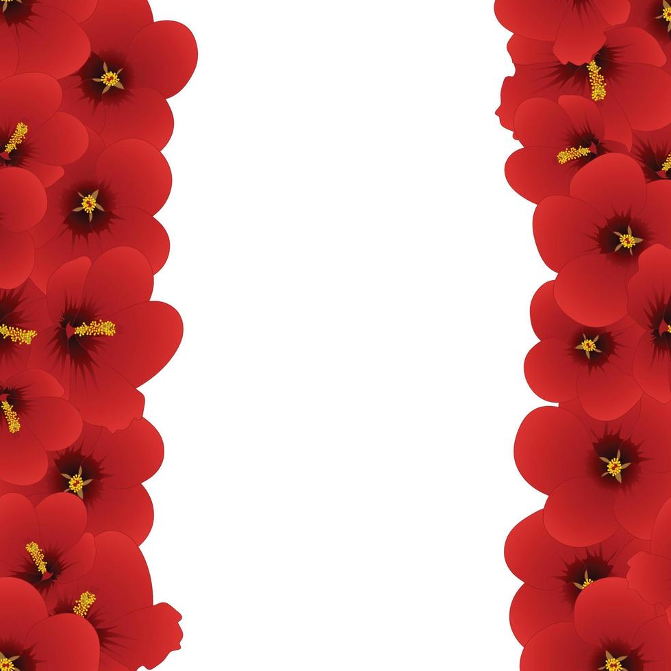 Red Hibiscus - Rose of Sharon Border vector