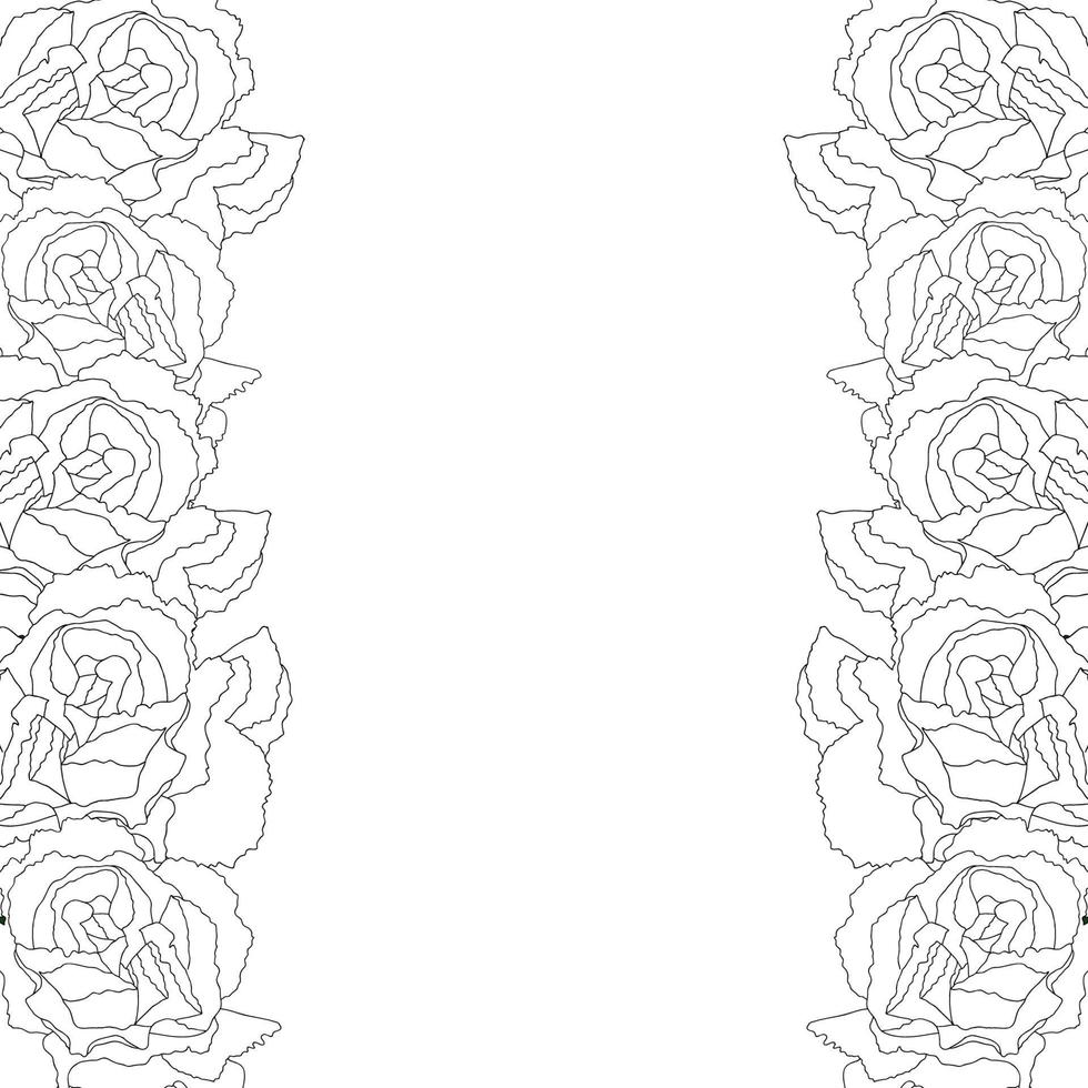 Carnation Flower Outline Border vector