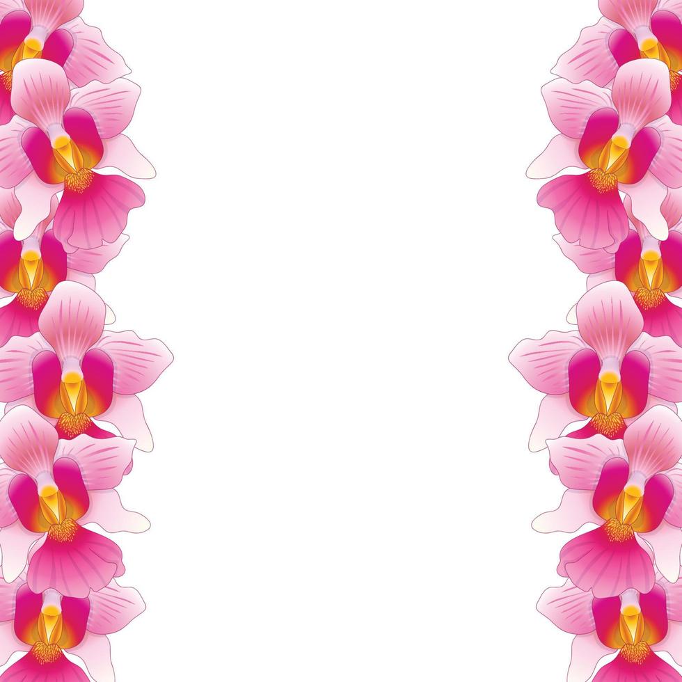 Pink Vanda Miss Joaquim Orchid Border vector