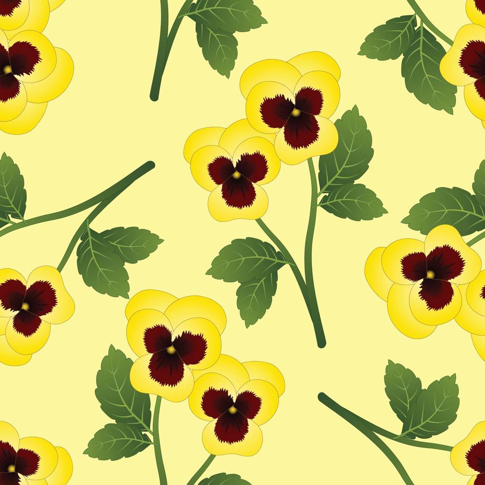 Yellow Pansy Flower on Light Yellow Background vector