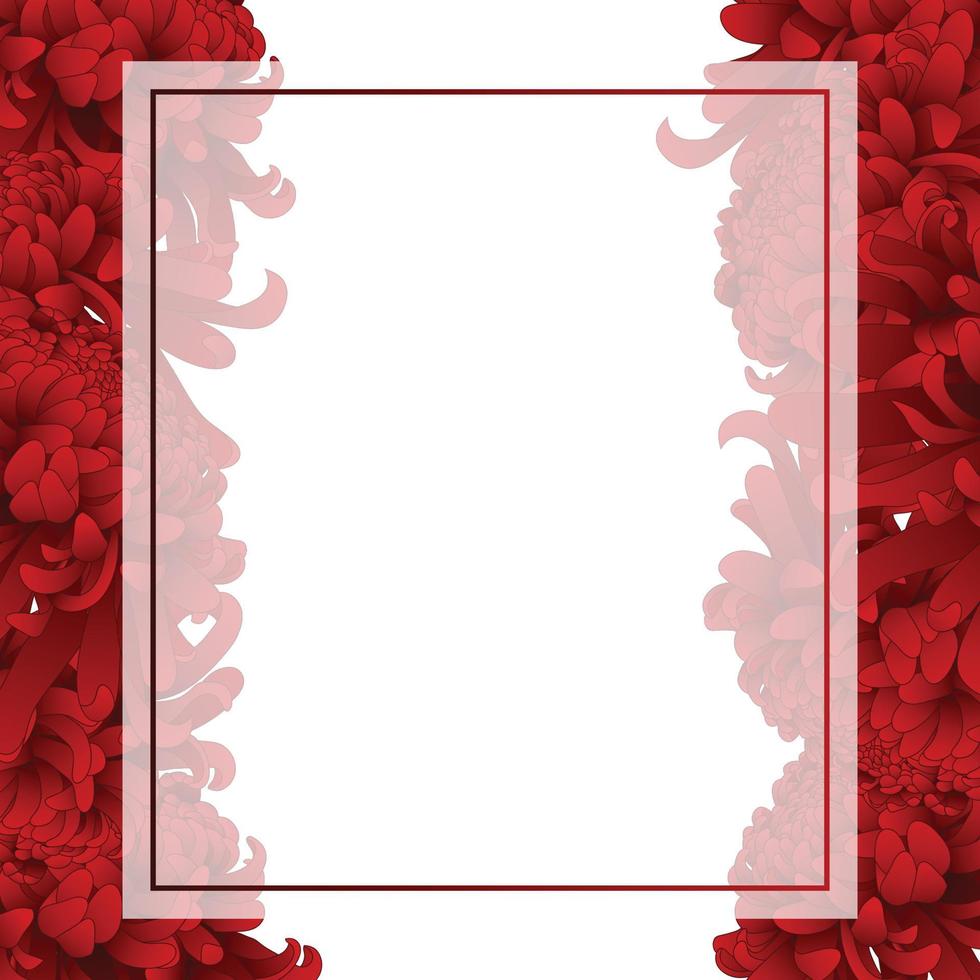 borde de tarjeta de banner de flor de crisantemo rojo vector