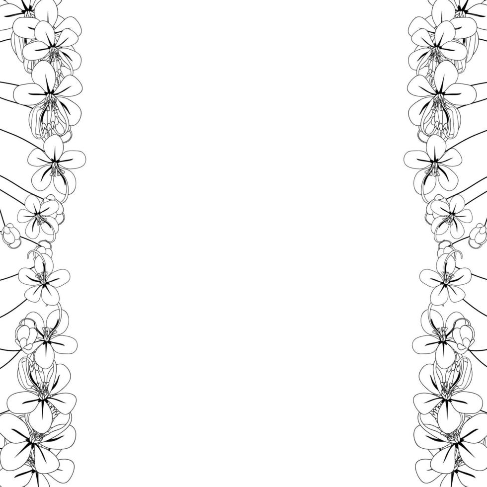 Cassia Fistula - Golden Shower Flower Outline Border vector