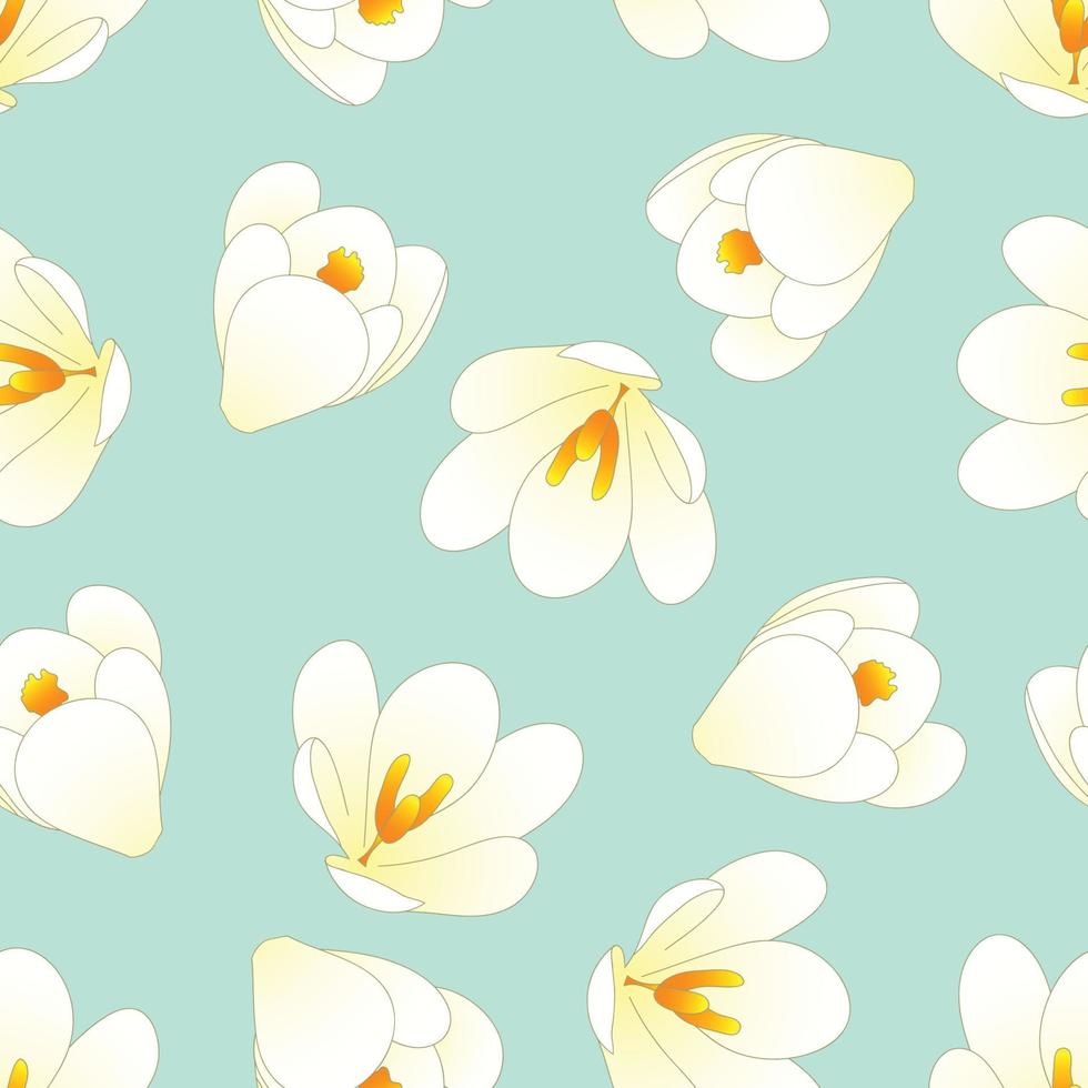 White Crocus Flower on Green Mint Background vector