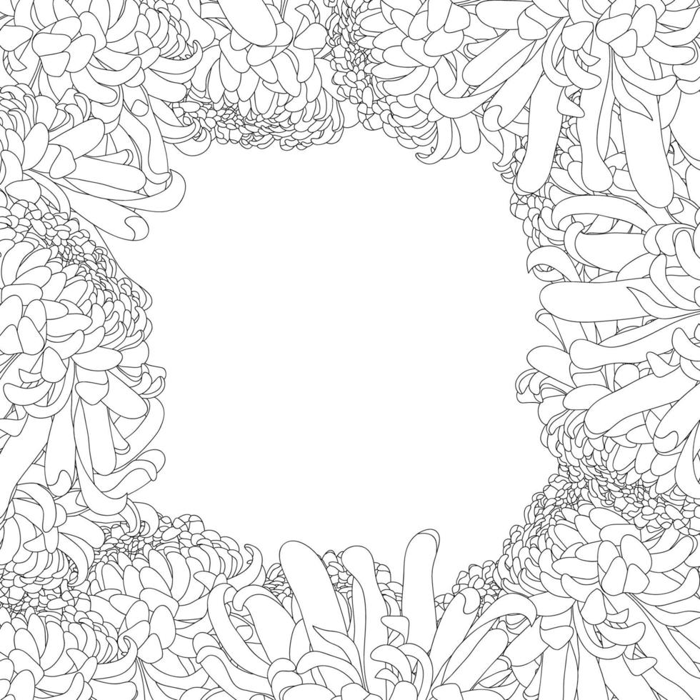 Chrysanthemum Outline Flower Border vector