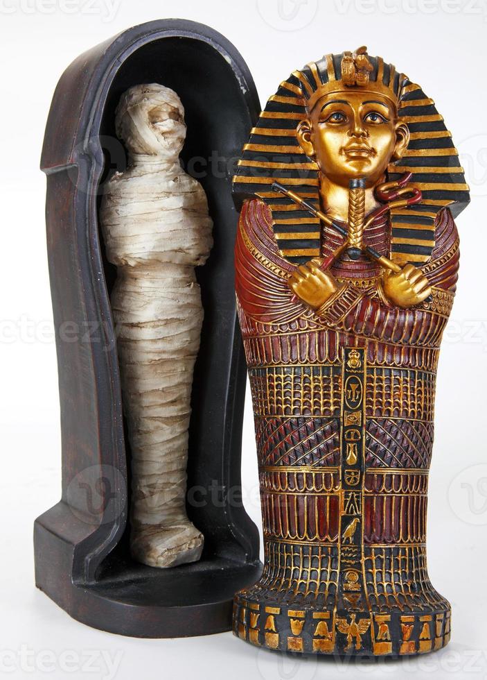 momia rellena en el sarcófago sobre fondo blanco foto
