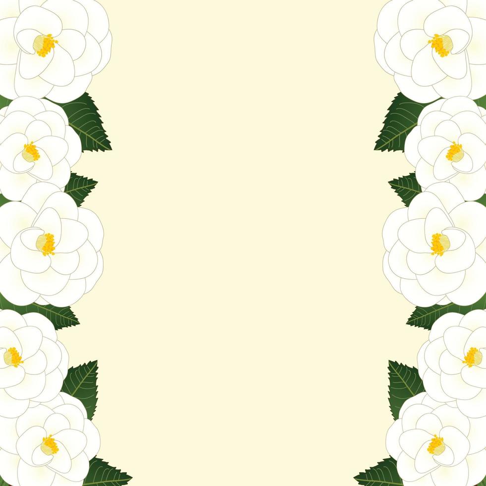 White Camellia Flower Frame Border. Vector Illustration.