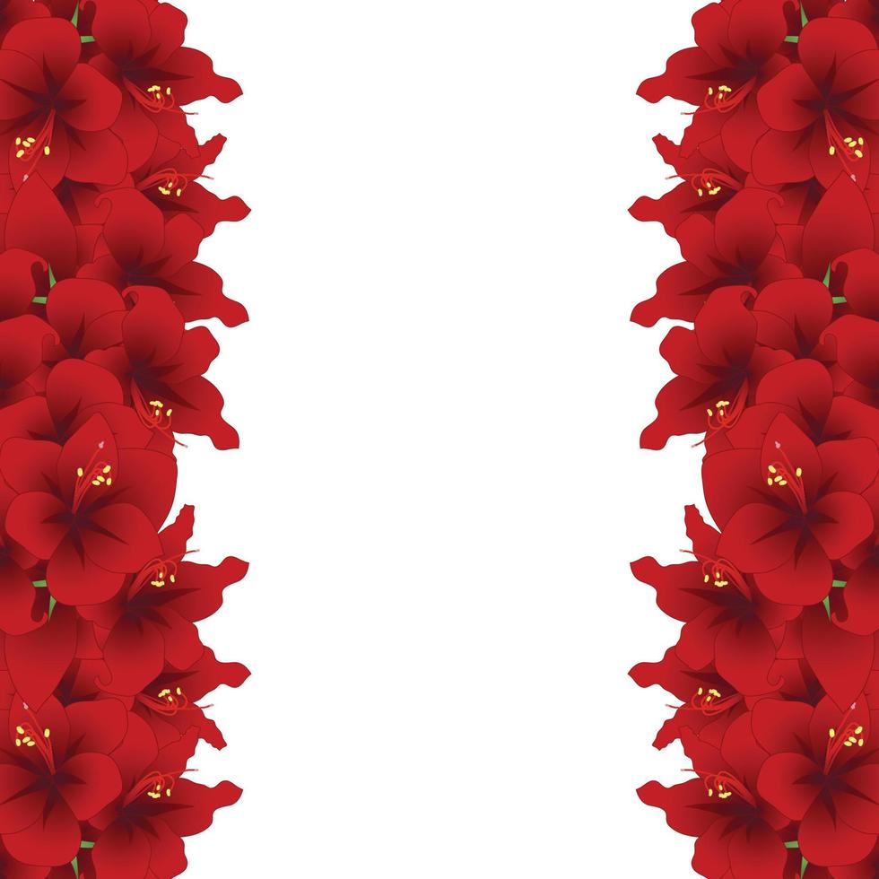 Red Amaryllis Border - Hippeastrum. Christmas Flower. vector