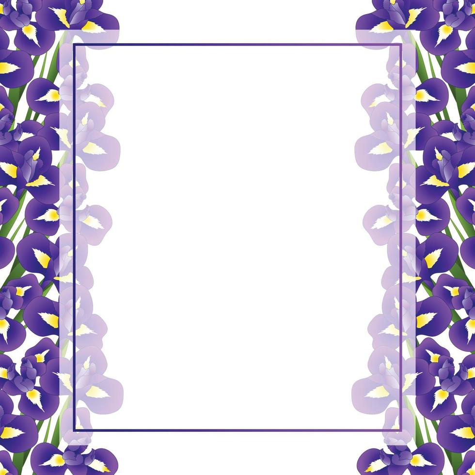 Iris Flower Banner Card Border vector