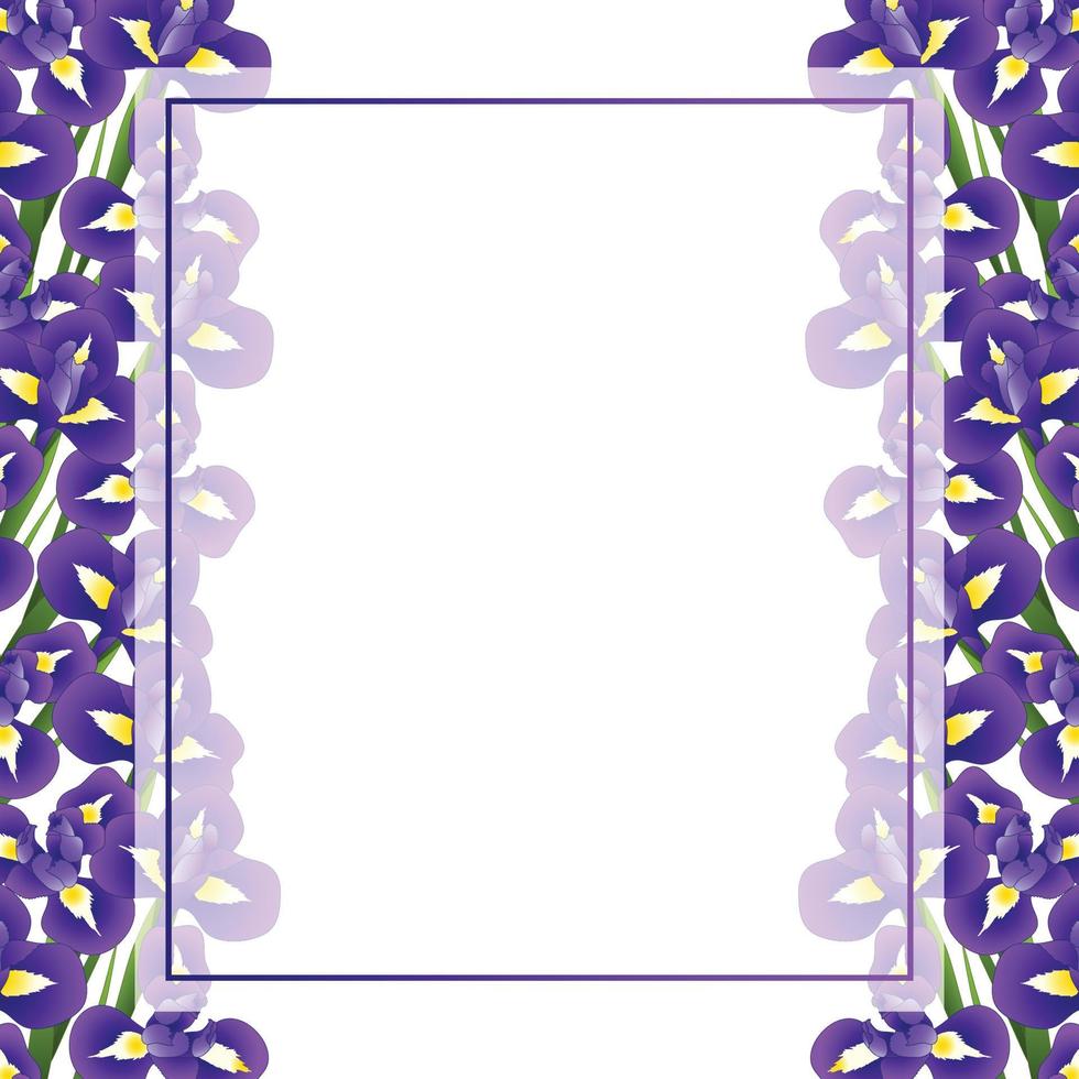 Iris Flower Banner Card Border vector