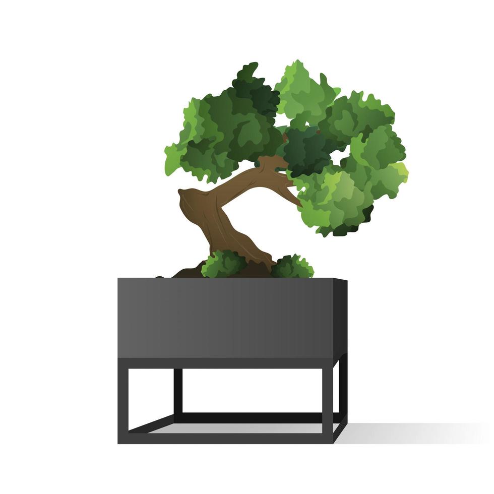 A small tree in a pot. Houseplant isolated on a white background. Vector illustration