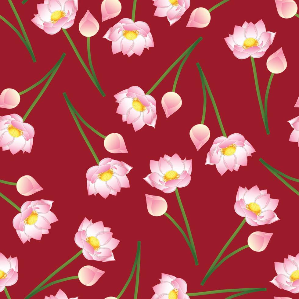 Pink Indian lotus on Red Background. vector