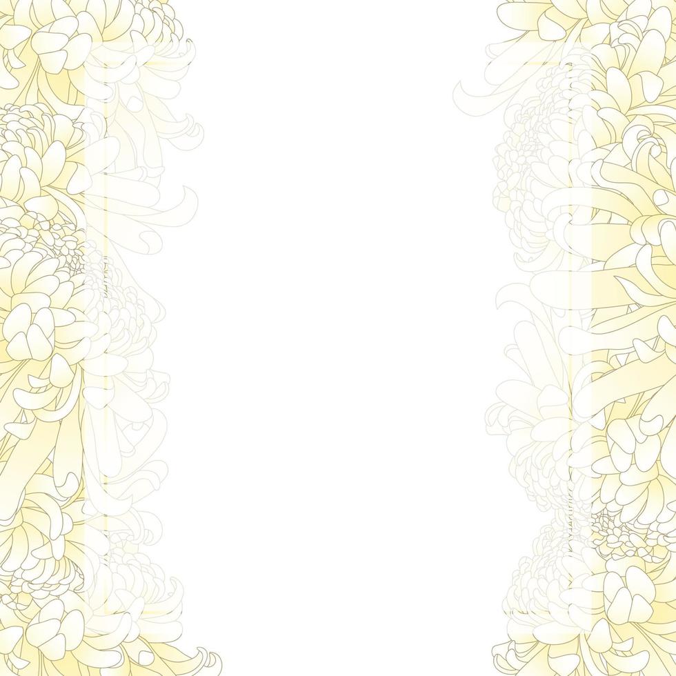 borde de tarjeta de banner de flor de crisantemo blanco vector