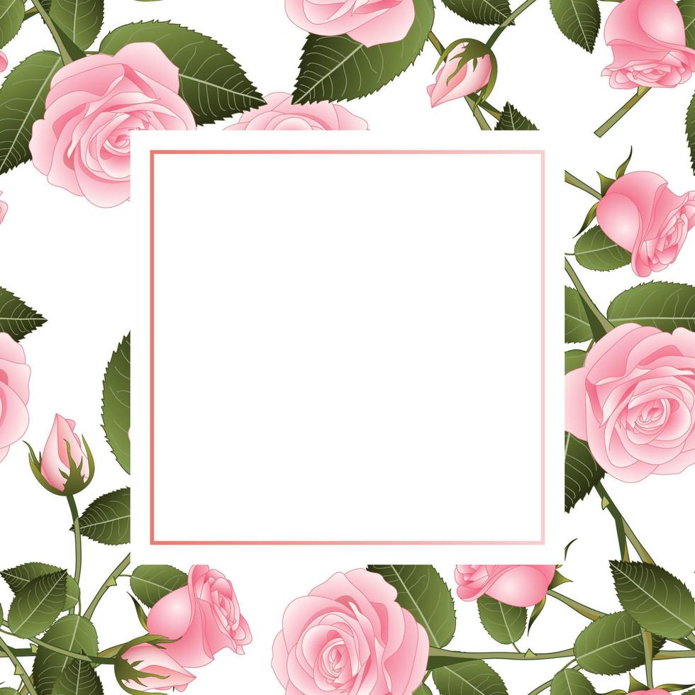 Pink Rose on White Banner Card vector